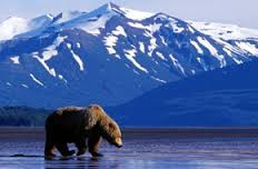 S OVýTem ZA NEDOTČENOU PŘÍRODOU ALJAŠKY (4.-21.6.2026)